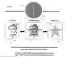 Fig. 03 - Holographic security device having diffractive image generating structures