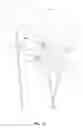 Fig. 08 - Spoke-mounted wheel safety light