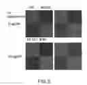 Fig. 06 - FIBROSIS INHIBITOR