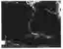 Fig. 01 - Nanosurface