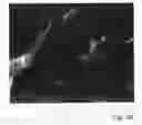 Fig. 07 - Nanosurface