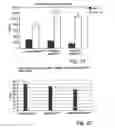 Fig. 33 - Nanosurface