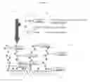 Fig. 05 - High Density Sequence Detection Methods