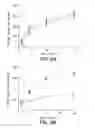 Fig. 06 - METHOD OF SCREENING CANDIDATE COMPOUNDS FOR SUSCEPTIBILITY TO BILIARY EXCRETION