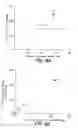 Fig. 07 - METHOD OF SCREENING CANDIDATE COMPOUNDS FOR SUSCEPTIBILITY TO BILIARY EXCRETION