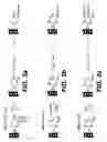 Fig. 03 - Methods for introducing mannose 6-phosphate and other oligosaccharides onto glycoproteins and its application thereof