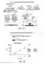 Fig. 02 - Methods and compositions for isolating metastatic cancer cells, and use in measuring metastatic potential of a cancer thereof