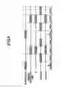 Fig. 09 - Semiconductor device producing method