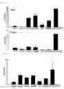 Fig. 07 - Use of PPAR-alpha activator as inflammatory skin disease-treating agent and method for treating skin diseases using the same