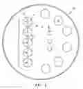 Fig. 02 - Apparatus and method for processing microscopic single cell biological specimens with a single microtool