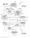 Fig. 08 - Generic ontology based semantic business policy engine