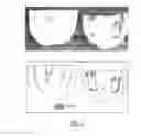Fig. 04 - Method for identifying plant material that shows a reduced discolouration, plants thus identified and use of the identified plants for the production of commercial crop plants showing a reduced discolouration