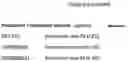 Fig. 04 - Stress-related polypeptides and methods of use in plants
