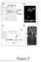 Fig. 03 - RUBISCO ACTIVASE WITH INCREASED THERMOSTABILITY AND METHODS OF USE THEREOF