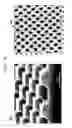Fig. 06 - Three-dimensional imaging and manipulation