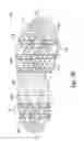 Fig. 08 - FOOTWEAR ASSEMBLIES WITH REMOVABLE ENHANCED TRACTION DEVICES AND ASSOCIATED METHODS OF USE AND MANUFACTURE