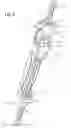 Fig. 06 - Dual axis chain support with chain pull through