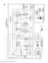Fig. 02 - Cash letter print streams