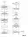 Fig. 07 - Cash letter print streams