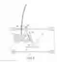 Fig. 06 - Anti-jamming assembly for shredders of sheet like material