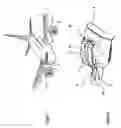 Fig. 02 - Engine nacelle of an aircraft comprising a vortex generator arrangement