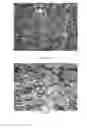 Fig. 07 - Jewelry having titanium boride compounds and methods of making the same