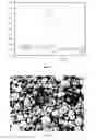 Fig. 03 - High density lithium cobalt oxide for rechargeable batteries