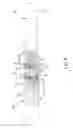 Fig. 09 - Manually operated prying tool