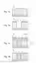 Fig. 02 - Microelectromechanical systems structures and self-aligned high aspect-ratio combined poly and single-crystal silicon fabrication processes for producing same