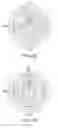 Fig. 04 - DIPOLE ANTENNA