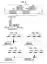 Fig. 08 - LIQUID DISCHARGING APPARATUS AND METHOD FOR DETECTING MALFUNCTIONING NOZZLES ON THE BASIS OF IMAGE DATA