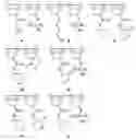 Fig. 01 - Vinyl addition polycyclic olefin polymers prepared with non-olefinic chain transfer agents and uses thereof
