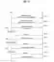 Fig. 09 - Method of MAC header generation and data transmitting