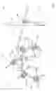 Fig. 02 - LOCKABLE JOINT