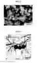 Fig. 02 - Method for preparing metal compound nanoparticles