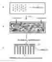 Fig. 01 - Process for remediation of plastic waste