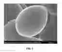 Fig. 02 - Process for remediation of plastic waste