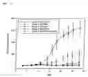 Fig. 09 - Novel method of stabilizing diagnostic and therapeutic compounds in a cationic carrier system