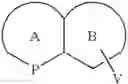 Fig. 07 - Combination Therapy