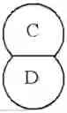 Fig. 13 - Combination Therapy
