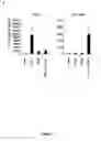 Fig. 02 - STRUCTURE AND USE OF 5'PHOSPHATE OLIGONUCLEOTIDES