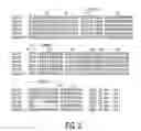 Fig. 03 - Antibodies to CD200R
