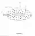Fig. 03 - Uniformly abrasive confectionery product and process therefor