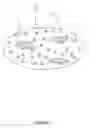 Fig. 04 - Uniformly abrasive confectionery product and process therefor