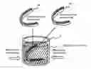 Fig. 01 - SILVER-ION COATED OBJECT OBTAINED BY MICROWAVE IRRADIATION AND A METHOD FOR COATING A SILVER-ION ONTO A TARGET OBJECT