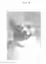 Fig. 04 - BEAD PICTURE BASED ON IMAGE DATA AND MANUFACTURING METHOD THEREOF