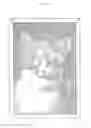 Fig. 11 - BEAD PICTURE BASED ON IMAGE DATA AND MANUFACTURING METHOD THEREOF