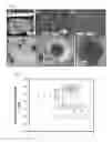 Fig. 02 - FIBERS AND FIBER-BASED SUPERSTRUCTURES, THEIR PREPARATION AND USES THEREOF