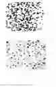 Fig. 03 - Electrode composite material