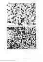 Fig. 04 - Electrode composite material